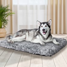 Strobel Memory Foam Pet Bed